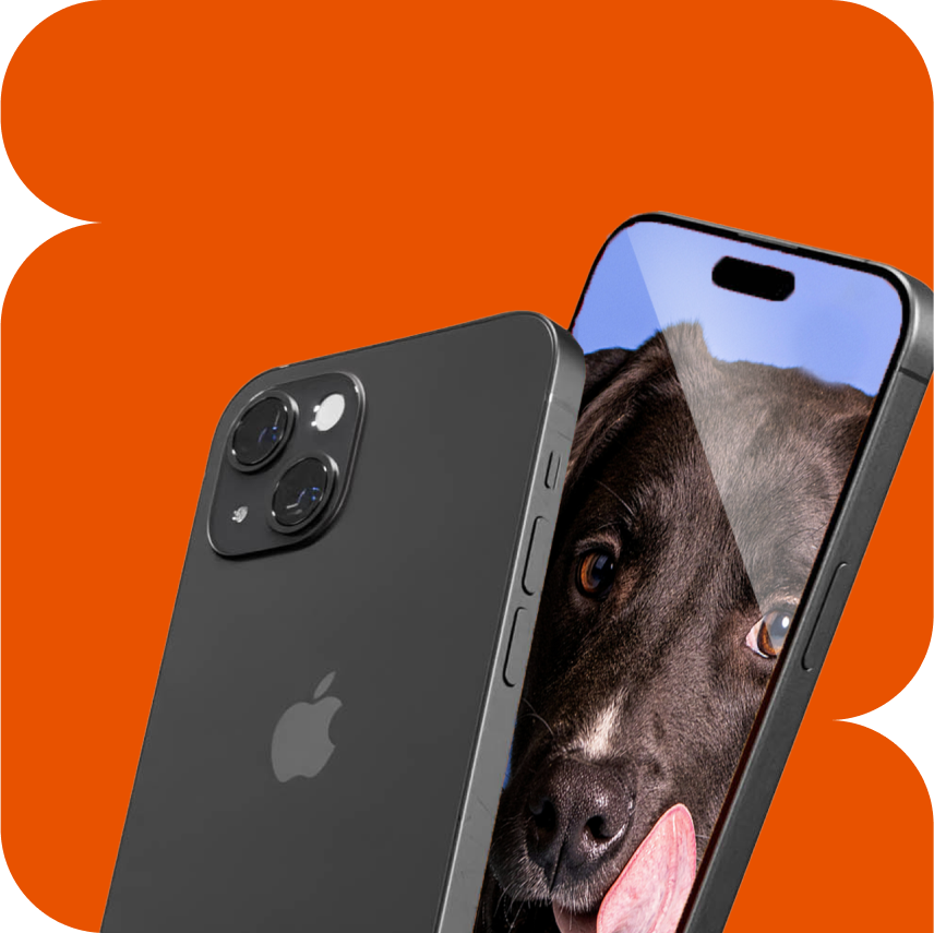 Buy PreOwned & Used iPhones, Cell Phones & More Gazelle