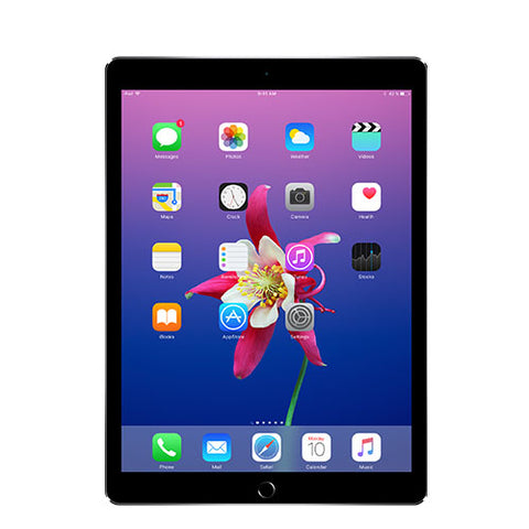 iPads > iPad Pro 10.5" 2nd Gen 256GB WiFi + 4G LTE (Unlocked)